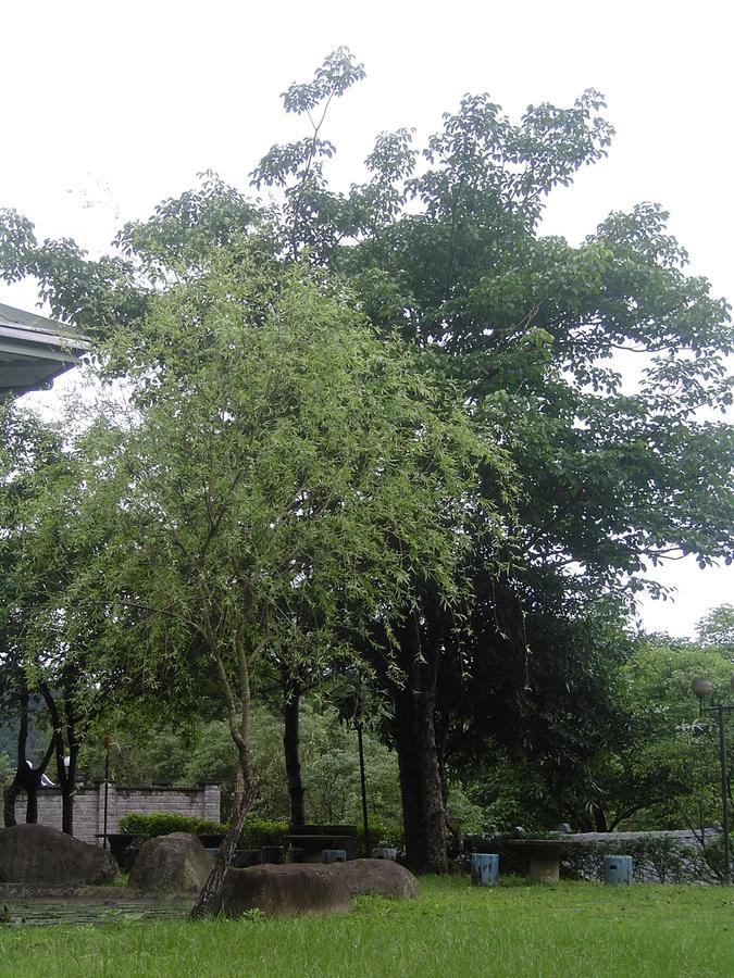 Fumei Bluebird Homestay Nanzhuang Exterior photo