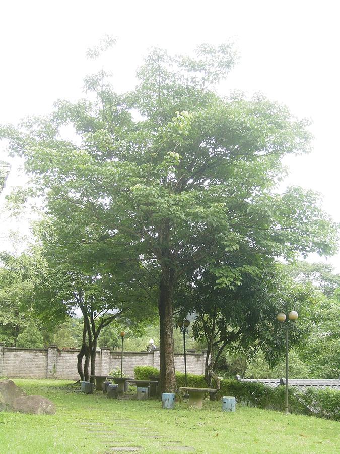Fumei Bluebird Homestay Nanzhuang Exterior photo